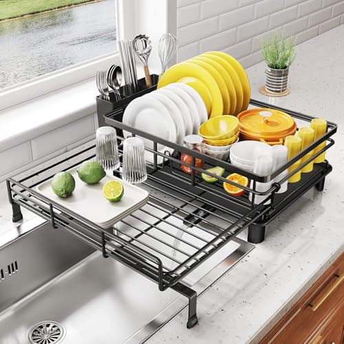 Expandable Stainless Steel Dish Rack